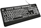 DHKBL Großschrift Computertastatur mit sanfter weißer Hintergrundbeleuchtung...