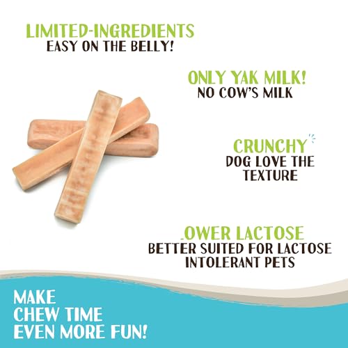 Raw Paws Himalayan Yak Chews for Dogs, Medium (3 Count) - Packed in USA - Tibetan Yak Cheese Dog Chews for Medium to Large Breeds - Hard Milk Dog Chew Bones - Single Ingredient - Long Lasting