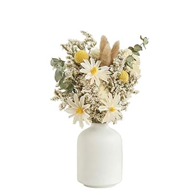 Ceramic Vase for Home Decor,Ceramic Vase, Dried Flower Vase, Living Room Decoration, Flower Arrangement Decoration Shooting Props,The Best Gift (White)