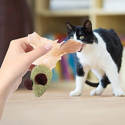 Brinquedos Catnip - Brinquedo bonito Silvervine para mastigar gatos,Brinquedos para gatos interativo