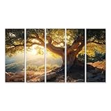 islandburner Bild auf Leinwand Alter Olivenbaum im Sonnenunterganglicht für Wohnzimmer Naturliebhaber Blumengeschäft Bilder Wandbilder Poster