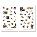Herbst Sticker Set - Aufkleber Journal Sticker Planer Sticker bullet journal sticker Garten Blätter Herbstblätter Laub Kürbis Natur
