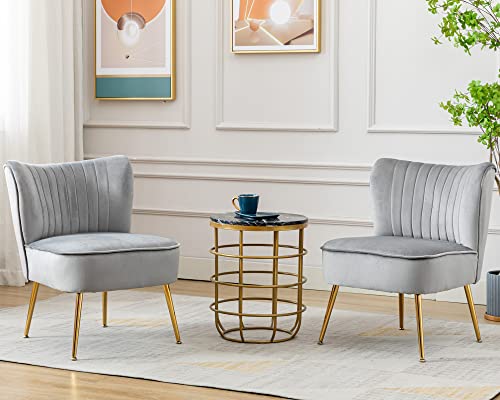 Janoray Velvet Accent Chair Set of 2 Comfy Living Room