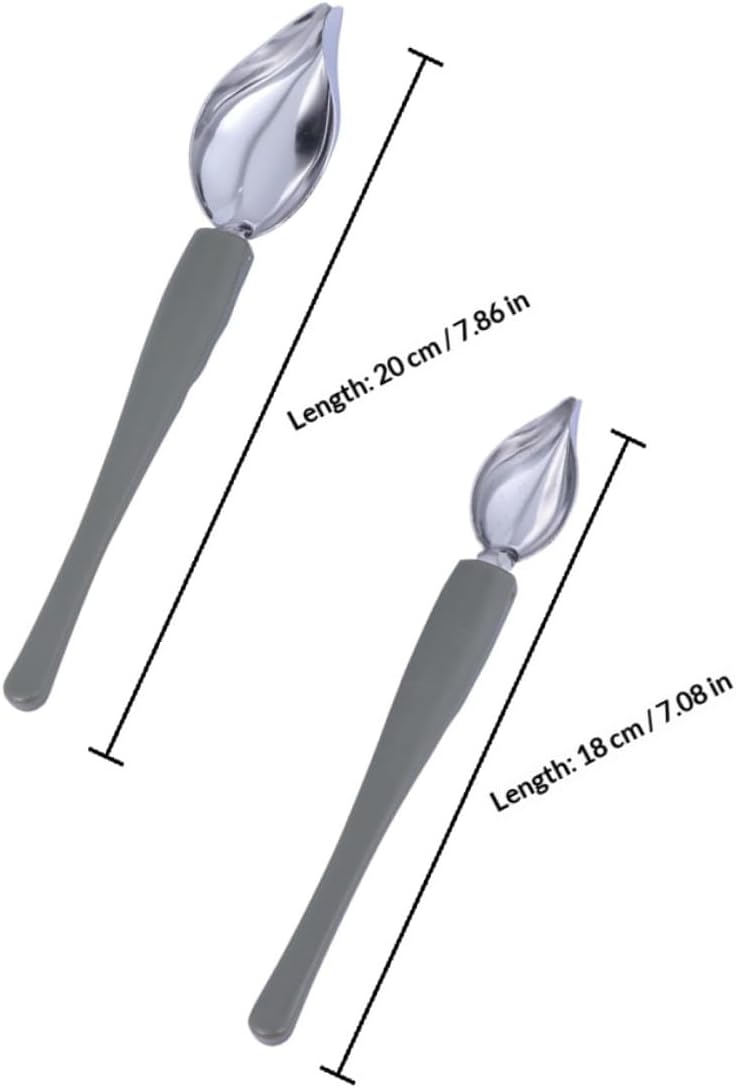 SHOWERORO 2 Pcs Stainless Steel Kitchen Saucier Spoon Sauce Plating Art Pencil Drawing Spoon for Dessert Decoration and Culinary Embellishment