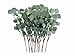 Produktbild Anlising 15 Stücke Künstliche Pflanzen Eukalyptus, Künstliche Silber-Eukalyptus Hinterlässt Zweige, Zweige Eukalyptus Pflanze, für Hochzeit, Garten, Haus, Büro, Indoor Outdoor Dekoration (Grün)