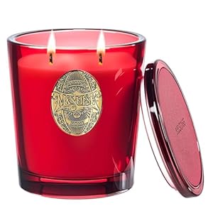 M&SENSE Scented Candles Gifts for Women 560g Red Camellia, 2-Wick Natural Soy Wax Large Candle 110H Long Burning, Aromatherapy Candles Gift for Men, Perfect Halloween Christmas Birthday Gifts