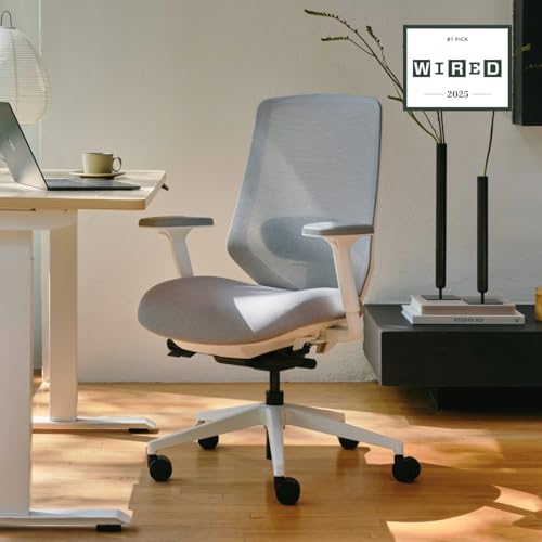 branch ergonomic chair pro