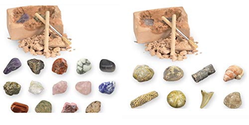 GeoCentral Rocks Minerals and Fossils Mini Dig Kits Bundle Set of 2