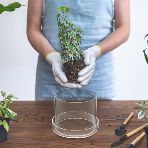 Pots de culture transparents pour éviter l'excès d'eau des fleurs - 6