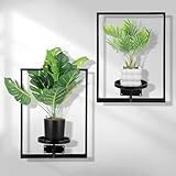Ubamdom 2 Pcs Wall Planters for Indoor Plants, Window Plant Shelves, Wall Plants Stand to Hold Large Pots - Premium Metal Hanging Plant Holder for Indoor Outdoor Decor, Black