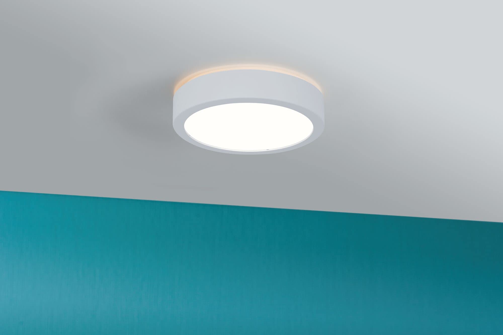 Paulmann 78924 Panel de luz de techo LED Aviar IP44 redondo 220mm 4000K Blanco incl. 1x13 Watt regulable Panel de luz plástico