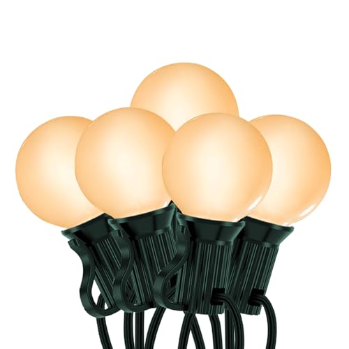 guia de focos vintage marca Lnguistic