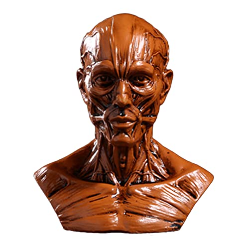 Image of Gaolinci 4-Inch Portable Human Model Craft Anatomy Skull Head Muscle Bone Medical Artist Drawing Study