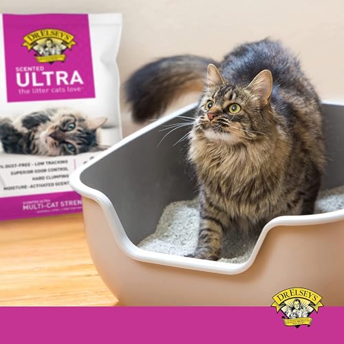 Image of Dr. Elsey's Ultra Scented Premium Bentonite Cat Litter, Dust-Free, Quick Absorption, Low Tracking, Hard Clumping, Superior Odor Control, Multi-Cat Friendly - 18.14kg