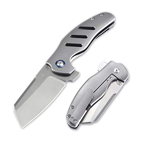 Kizer Cutlery Pocket Knives Flipper Knife Frame Lock Folding Knife Titanium Handles Tactical