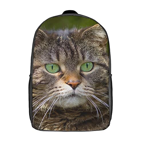 Sac à dos d'école de chat stylé fini les cartables trop lourds