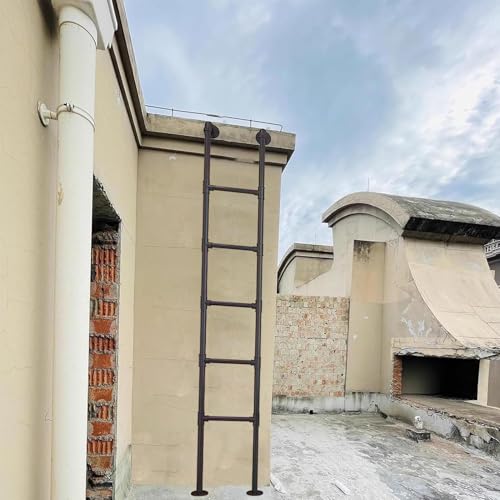 Échelle de secours pour puits de lumière de sous-sol robuste et compacte