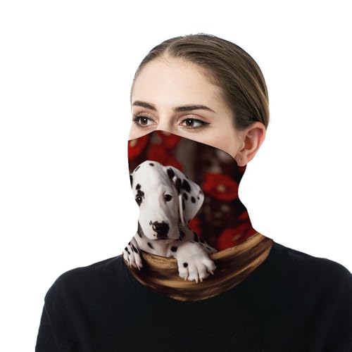 Neck Gaiter Face Mask Men Women, Lovely Hedgehog Face Mask Scart Cover for Dust Wind Sun Protection4