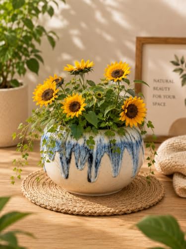 Image of Ceramic Plant Pots, Clay Flower Pot with Drainage Hole, Decorative Modern Indoor Planters, Home Garden Decor for Living Room Bedroom Interior| Set of 1 (Blue)