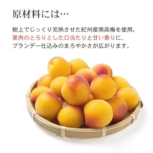 プラム食品 にごり梅酒 熊野かすみ 720ml