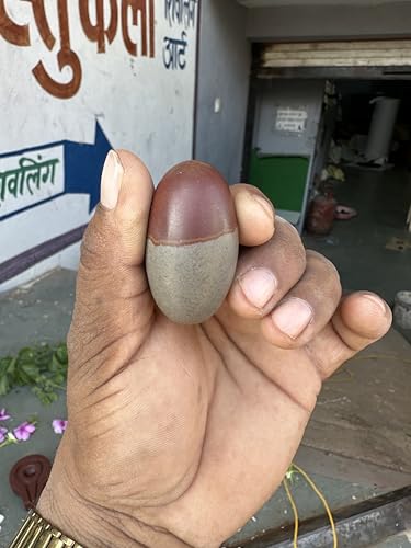 Image of Shivam VASTU AKAL 1.5 inch Original Narmadeshwar Narmada Shivling with 3 inch Narmada Stone Yoni Base Jaladhari (Mahamratunjay Shivling, Black Damtu Jaladhari)