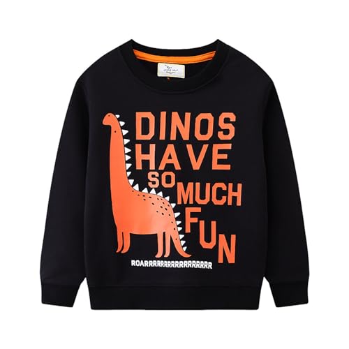 Boys Sweatshirts Casual Sweatshirts Cotton Sweatshirts Long Sleeve T-shirts Crew Neck Cartoon Tops for Boys-176