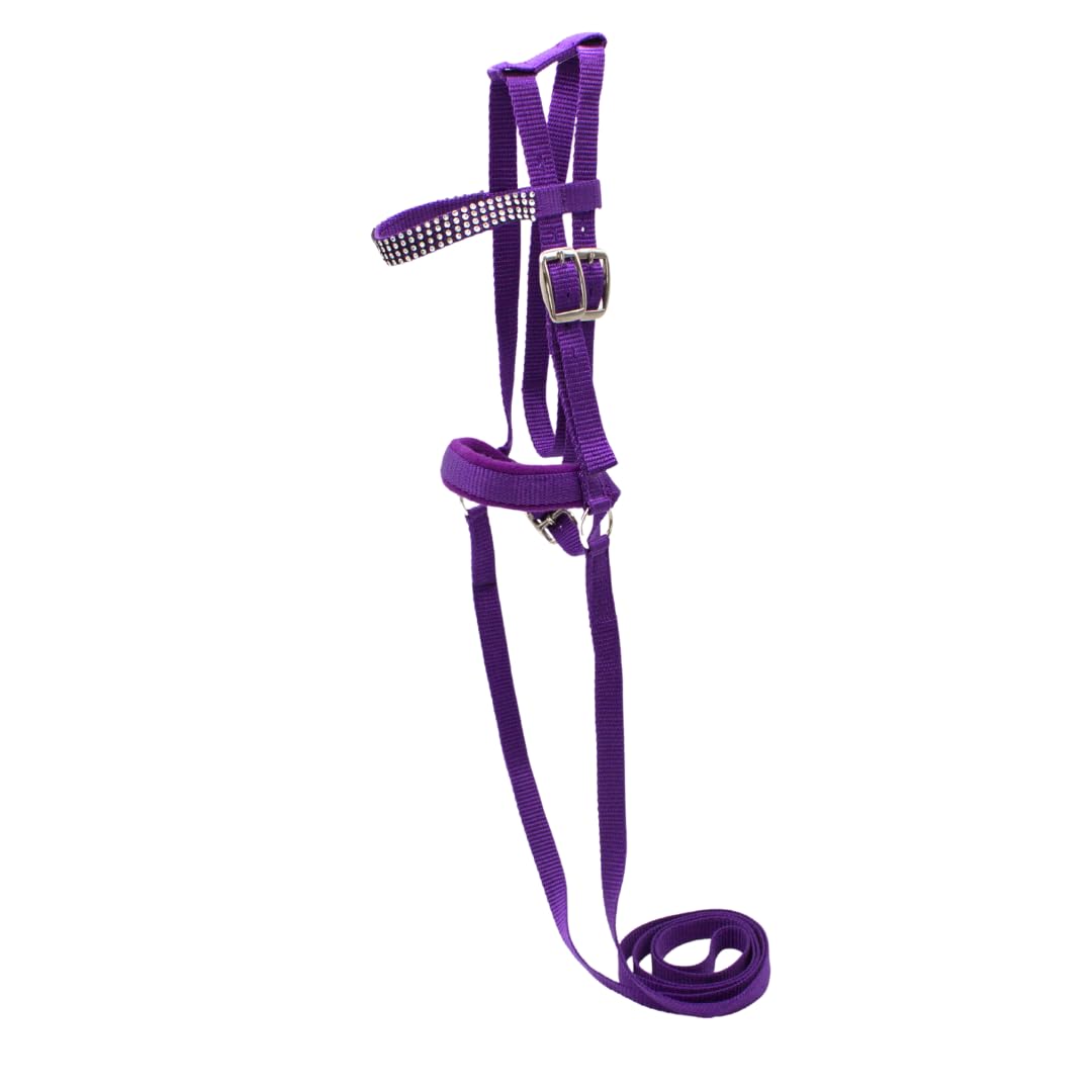 PFIFF 103126 Lotty Bridle for Play Horses and Wood, Snaffle for Playhorses, One Size, Purple