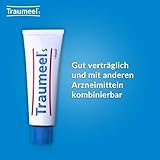 Traumeel S Creme 100g - Wieder fit für Sport und Alltag mit der Kraft aus der Natur | Natürliches Arzneimittel zur Unterstützung der körpereigenen Regeneration. Für ein Leben in Bewegung!