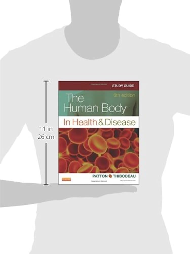 値下げ❗️The Human Body in Health and Illness 81jH6mU2NLL.jpg_BO30,255,255,