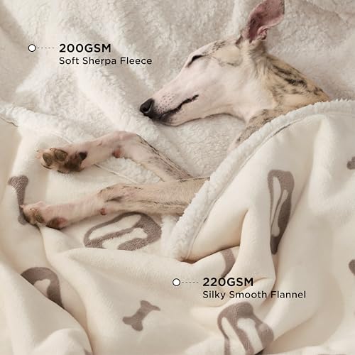 BEDSURE wasserdichte Hundedecke mittelgroße Hunde - 102x76cm Hundedecke waschbar, Decke Hund aus Sherpa Fleece, Katzendecke flauschig und weich, Creme