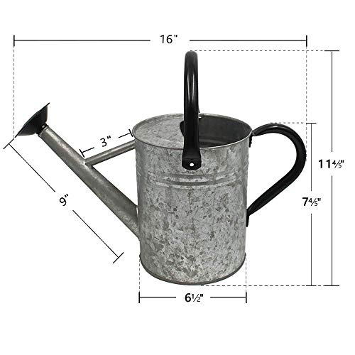 image for Cesun Metal Watering Can 1 Gallon for Outdoors Plants, Galvanized Stee