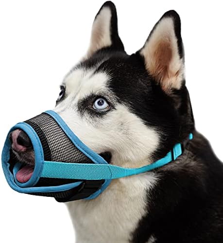 muzzle dog at dog park