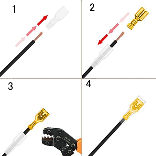 Dzsomt 480 Pezzi Maschio e Femmina Capicorda