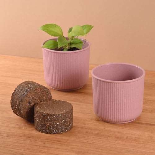 Image of Eha Earth Friendly Statement Pot 4 Inch Pots and Planters with Growmix |Set of 2| Table Top Planters for Gifting | Bamboo Based | Planter for Indoor & Balcony Window Flower Pots|Innocent