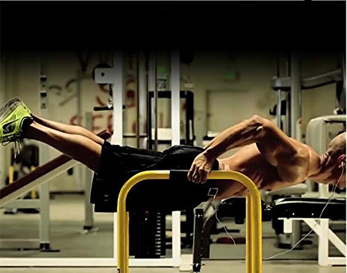 Amazon.co.jp: ディップススタンド 人気 筋トレ 全身 トレーニング可能