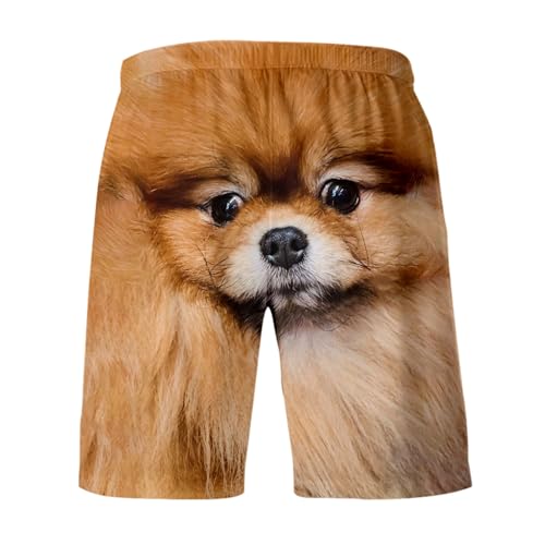 Short running homme sport respirant et vêtement de nuit motif chien 3D