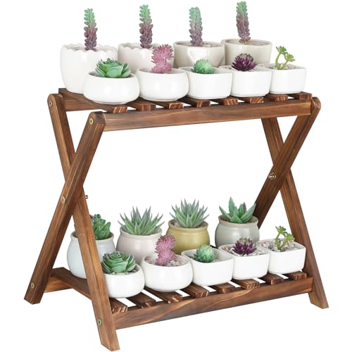Tovacu Small Plant Stand Indoor 2 Tier Table Top Flower