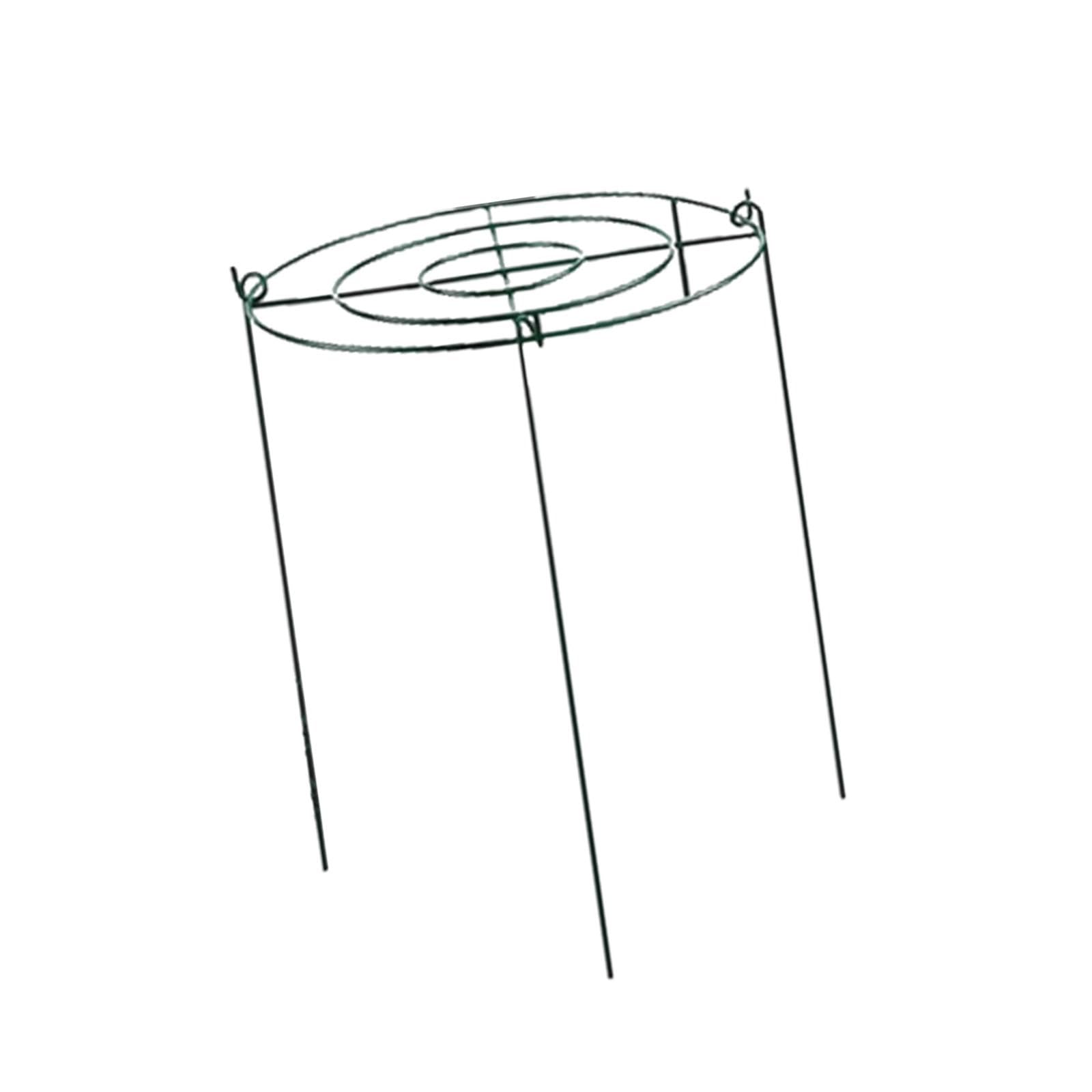 Tuteurs Annulaires pour Plantes Grimpantes, Poteaux Métalliques pour, Fraisiers, Plantes D'extérieur, Orchidées, Tomates, 35 Cmx60 Cm