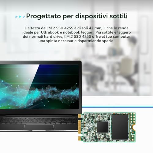 SSD interno da 1 TB SSD 425S SATA III 42 mm - Hdd - Immagine 3