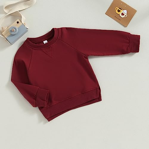 Toddler Baby Boy Girl Clothes Solid Color Crewneck Sweatshirt Long Sleeve Pullover T Shirt Tops Fall Winter Outfit4