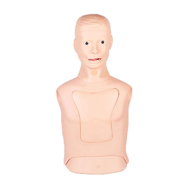Buy Nasogastric Tube and Tracheal Care Nursing minikin Model