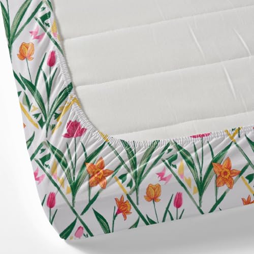 Image of HUESLAND by Ahmedabad Cotton 144 TC Cotton Elastic Fitted Bedsheet King Size with 2 Pillow Covers | 72 x 78 inches