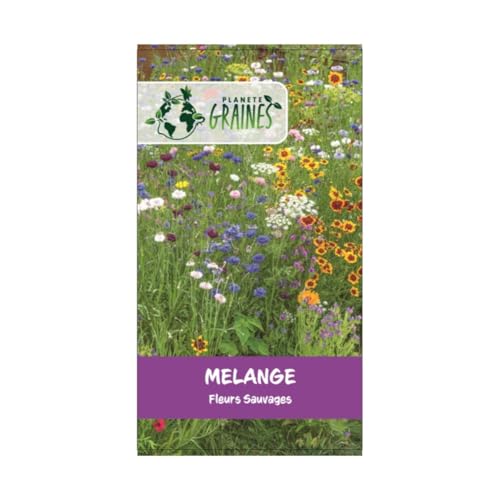 1000 graines melange fleurs fleurs sauvages - annuelle - attire les pollinisateurs