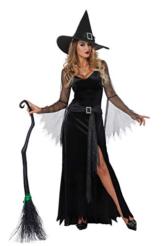 California Costumes Women's Rich Witch Adult Woman Costume, Black/Silver, Medium