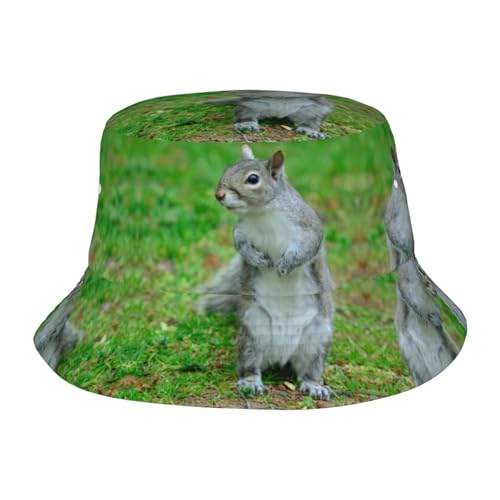 Gongjuy Squirrel Four Seasons - Sombrero de pescador para adultos, protector solar, frío, UV, sombrero coreano a rayas, color negro