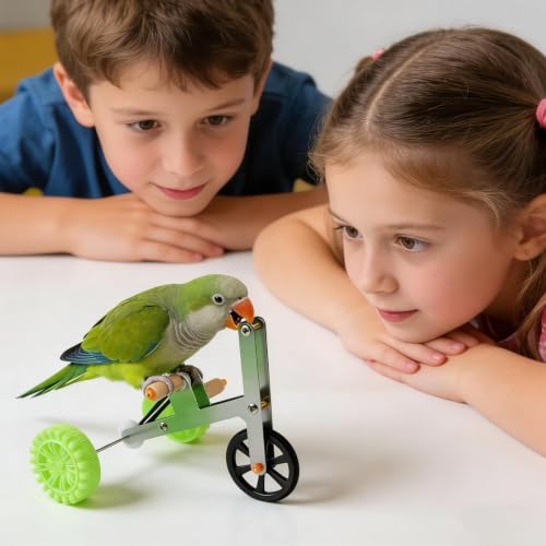 Fahrrad-Spielzeug Für Papageien, Interaktives Tisch-Trainingsspielzeug, Beschäftigungsspielzeug Aus Edelstahl Für Sittiche, Aras Und Kakadus-9