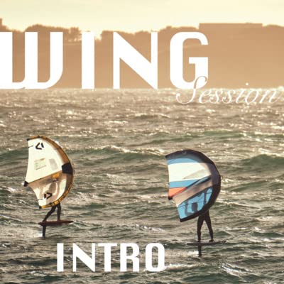 Intro - Wing Session ? qu'est-ce que c'est ? cover art