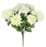 Photo Gallery flair flower bouquet di crisantemi artificiali, 35 cm, crisantemo, fiori autunnali, fiori artificiali, decorazione per la casa, decorazione da tavolo, crema Photo Gallery flair flower bouquet di crisantemi artificiali, 35 cm, crisantemo, fiori autunnali, fiori artificiali, decorazione per la casa, decorazione da tavolo, crema