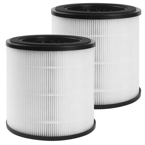 2 filtri di ricambio HEPA compatibili, Per Philips Purificatore Aria, Per Philips purificatore d'aria serie 800 AC0830/10 AC0820/30 AC0820/10 AC0819/10,Per Purificatore d Aria FY0194/ 30 e FY0293/30