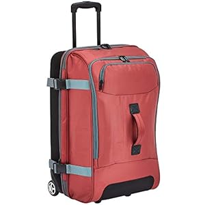 Amazon Basics Polycarbonate Soft 43 cms Trolley Bag (WXD0987WDA_red)
